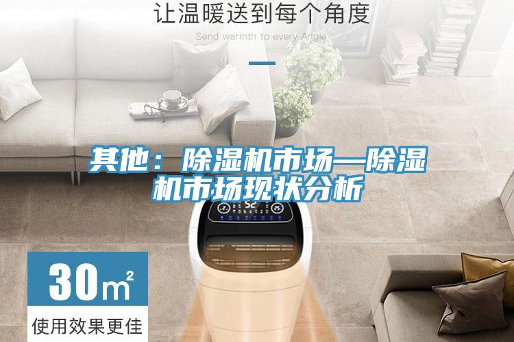 其他：91免费网站在线观看市场—91免费网站在线观看市场现状分析