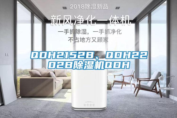 QDH2152B、QDH2202B91免费网站在线观看QDH