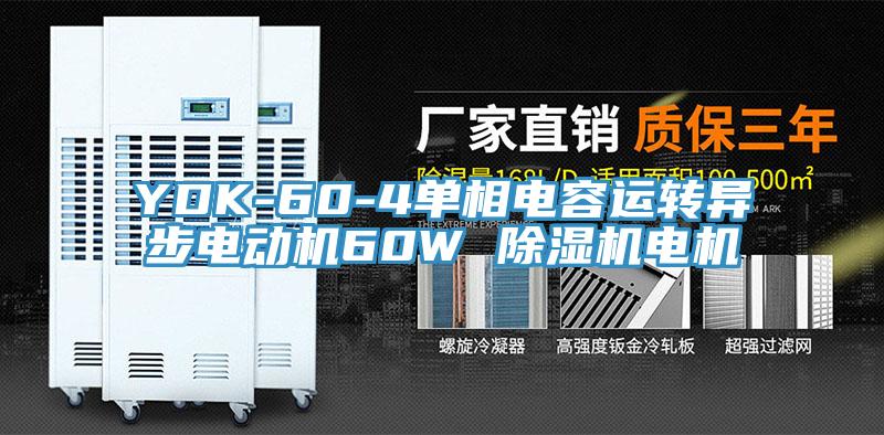 YDK-60-4单相电容运转异步电动机60W 91免费网站在线观看电机