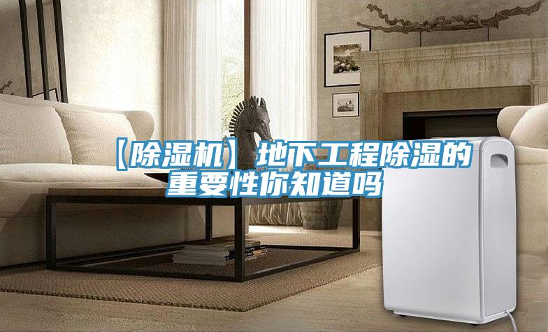 【91免费网站在线观看】地下工程除湿的重要性你知道吗