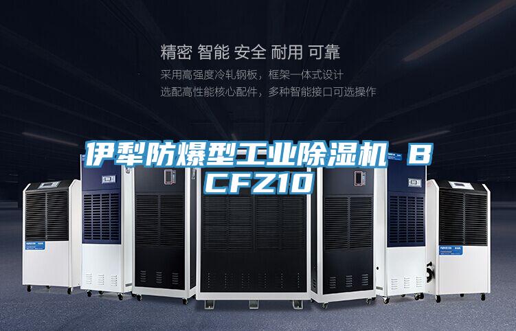 伊犁防爆型工业91免费网站在线观看 BCFZ10