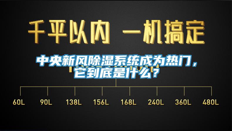 中央新风除湿系统成为热门，它到底是什么？