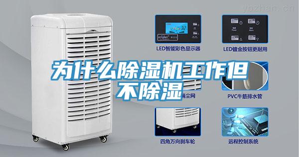 为什么91免费网站在线观看工作但不除湿