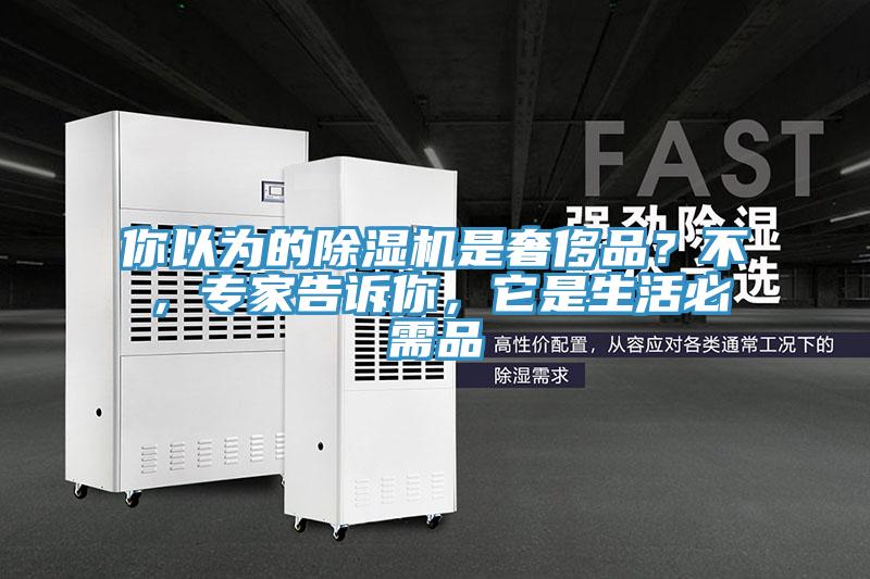 你以为的91免费网站在线观看是奢侈品？不，专家告诉你，它是生活必需品