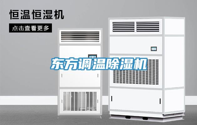 东方调温91免费网站在线观看