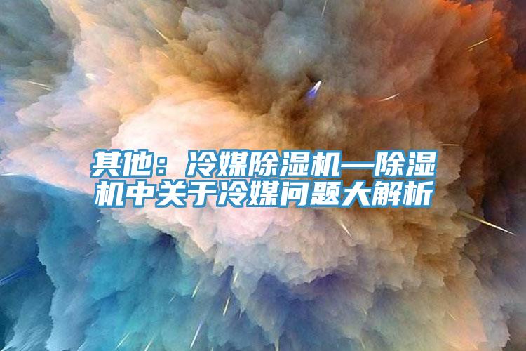 其他：冷媒91免费网站在线观看—91免费网站在线观看中关于冷媒问题大解析