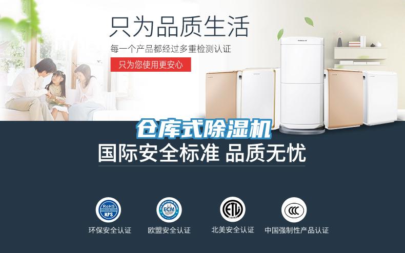 仓库式91免费网站在线观看