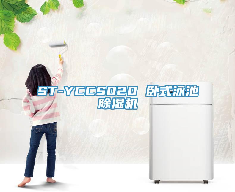 ST-YCCS020 卧式泳池91免费网站在线观看