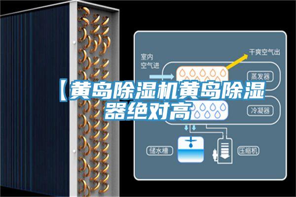 【黄岛91免费网站在线观看黄岛除湿器绝对高
