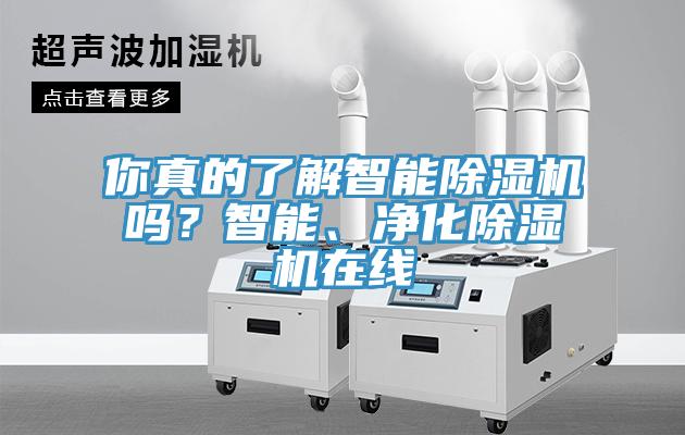 你真的了解智能91免费网站在线观看吗？智能、净化91免费网站在线观看在线
