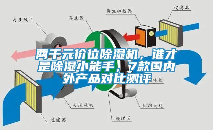 两千元价位91免费网站在线观看，谁才是除湿小能手，7款国内外产品对比测评