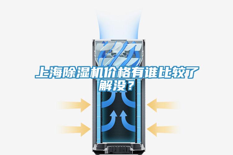 上海91免费网站在线观看价格有谁比较了解没？