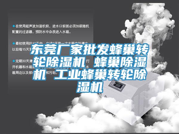 东莞厂家批发蜂巢转轮91免费网站在线观看 蜂巢91免费网站在线观看 工业蜂巢转轮91免费网站在线观看
