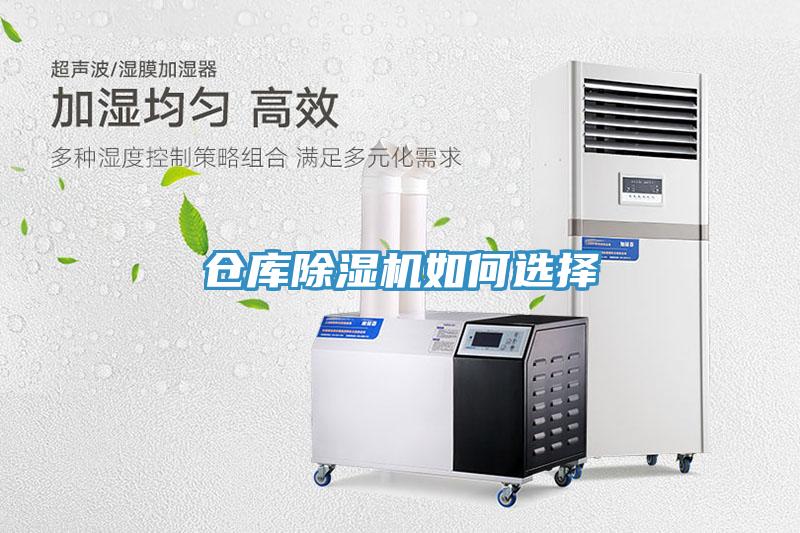 仓库91免费网站在线观看如何选择