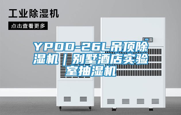 YPDD-26L吊顶91免费网站在线观看｜别墅酒店实验室抽湿机