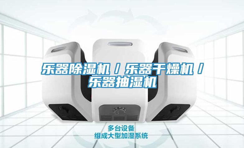 乐器91免费网站在线观看／乐器干燥机／乐器抽湿机