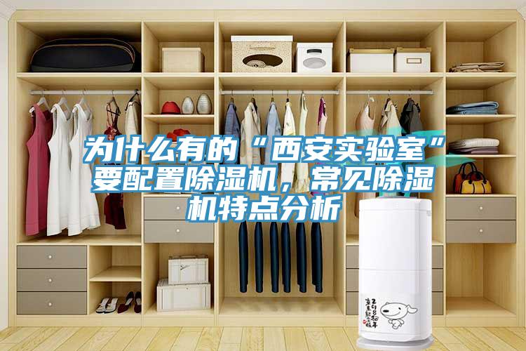 为什么有的“西安实验室”要配置91免费网站在线观看，常见91免费网站在线观看特点分析
