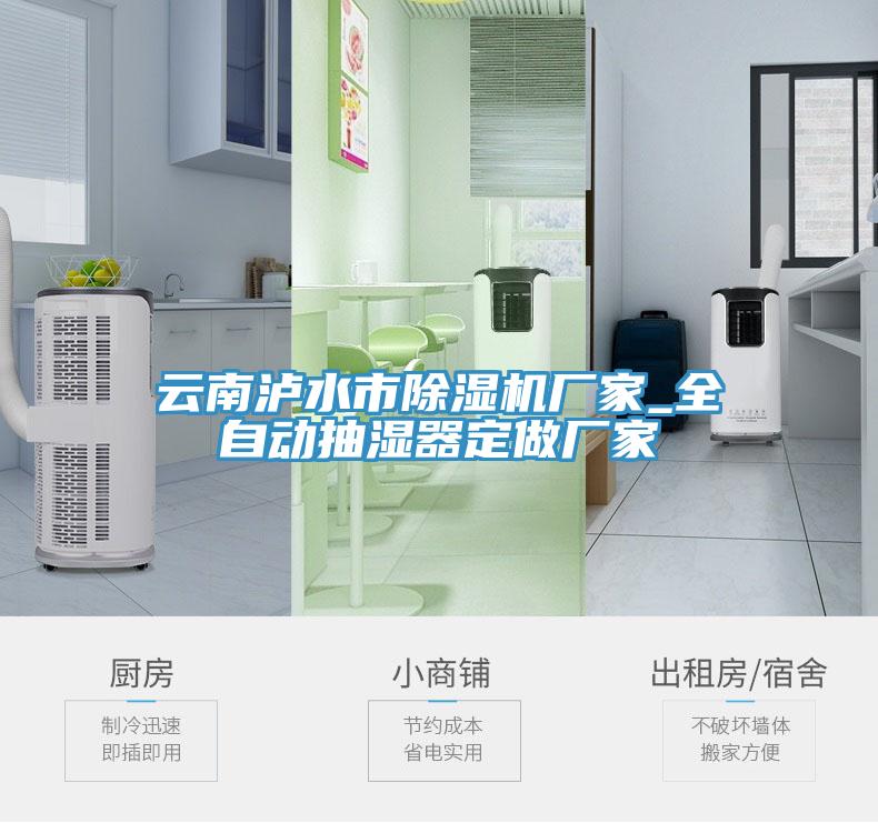 云南泸水市91免费网站在线观看厂家_全自动抽湿器定做厂家