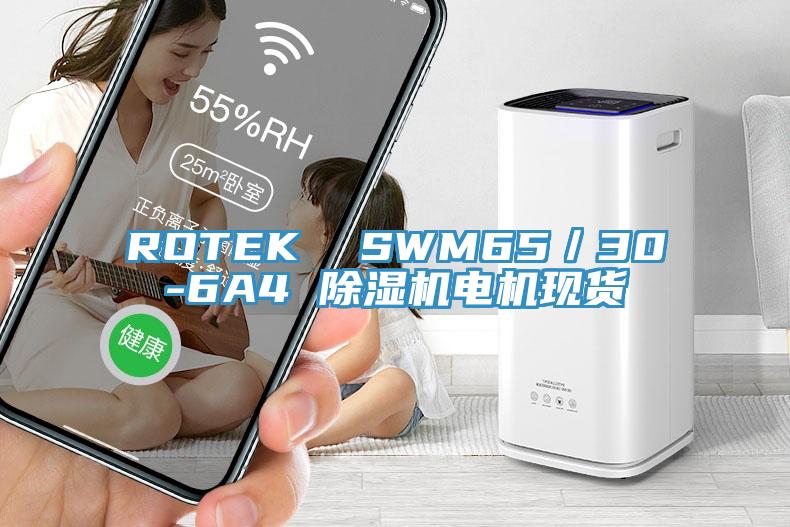 ROTEK  SWM65／30-6A4 91免费网站在线观看电机现货