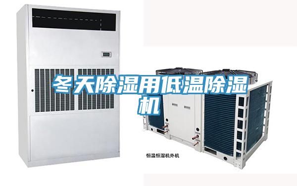 冬天除湿用低温91免费网站在线观看