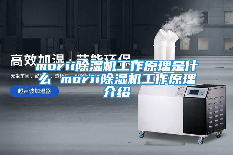 morii91免费网站在线观看工作原理是什么 morii91免费网站在线观看工作原理介绍