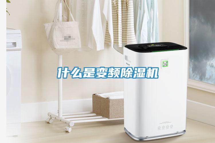 什么是变频91免费网站在线观看
