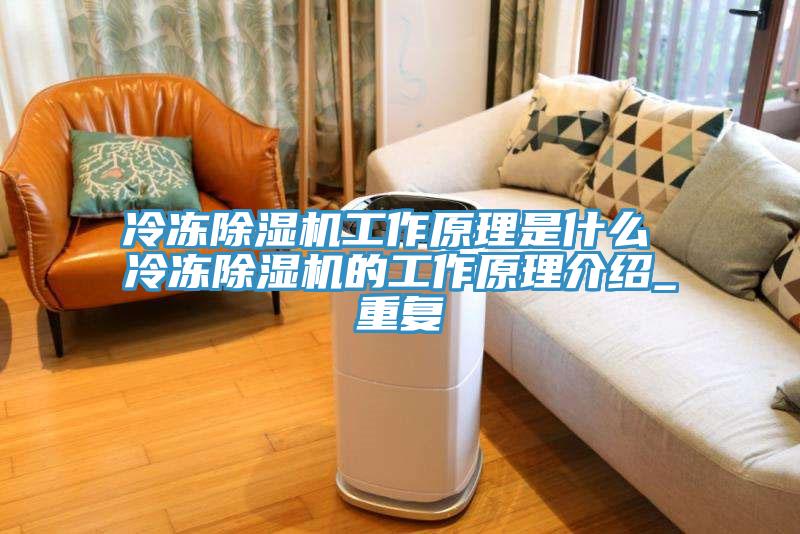 冷冻91免费网站在线观看工作原理是什么 冷冻91免费网站在线观看的工作原理介绍_重复