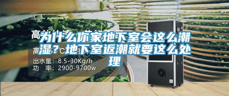 为什么你家地下室会这么潮湿？地下室返潮就要这么处理