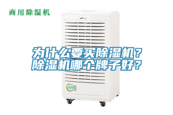 为什么要买91免费网站在线观看？91免费网站在线观看哪个牌子好？