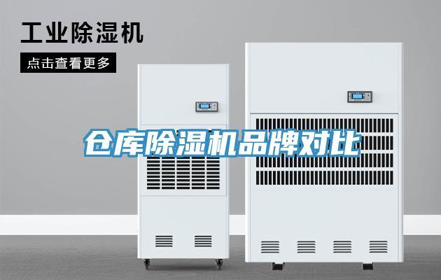 仓库91免费网站在线观看品牌对比