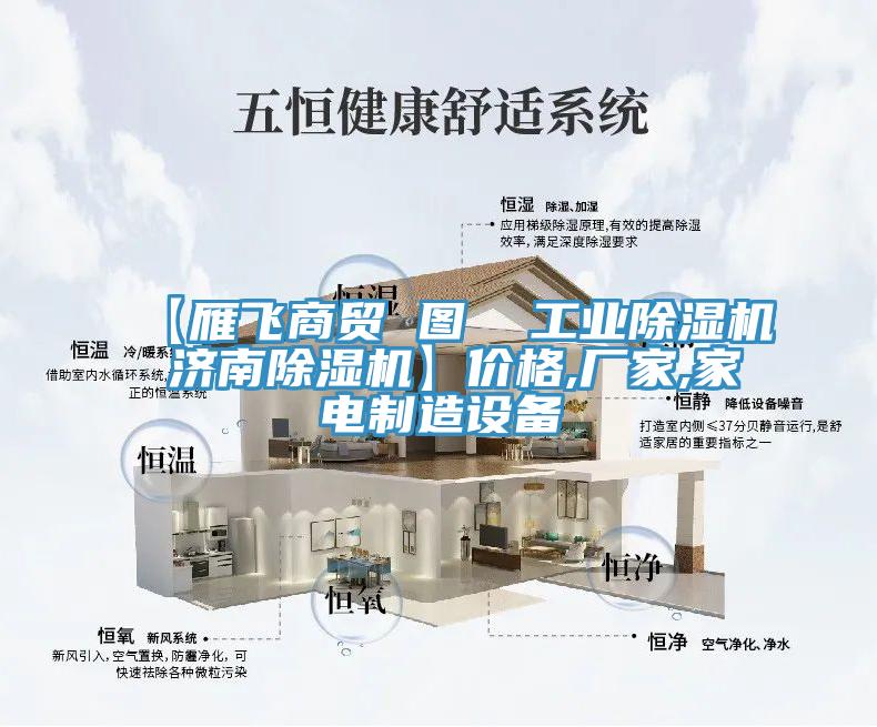 【雁飞商贸 图  工业91免费网站在线观看 济南91免费网站在线观看】价格,厂家,家电制造设备