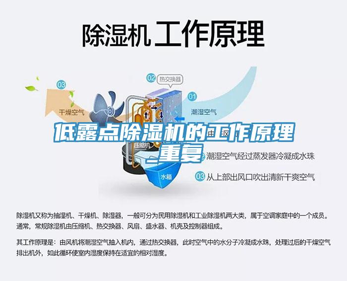 低露点91免费网站在线观看的工作原理_重复