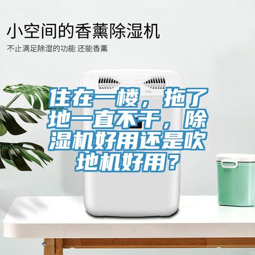 住在一楼，拖了地一直不干，91免费网站在线观看好用还是吹地机好用？