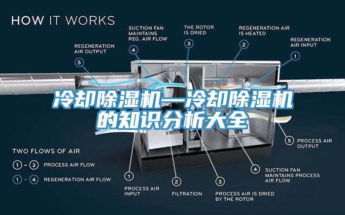 冷却91免费网站在线观看—冷却91免费网站在线观看的知识分析大全