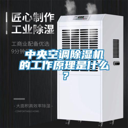 中央空调91免费网站在线观看的工作原理是什么？