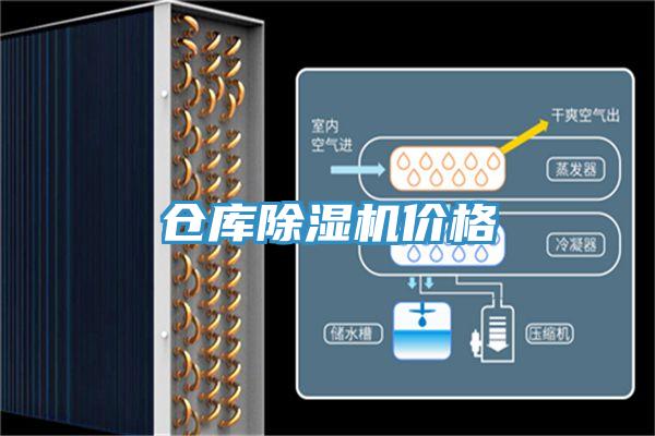 仓库91免费网站在线观看价格