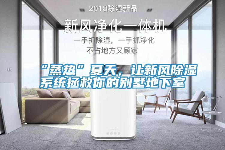 “蒸热”夏天，让新风除湿系统拯救你的别墅地下室
