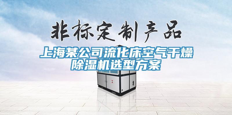 上海某公司流化床空气干燥91免费网站在线观看选型方案