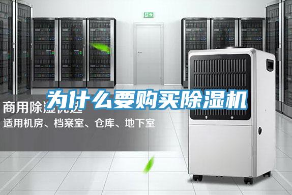 为什么要购买91免费网站在线观看