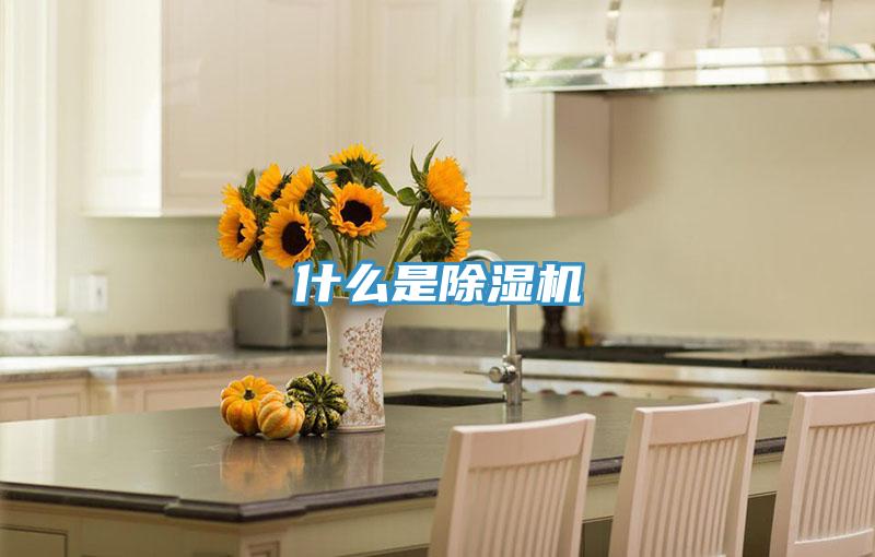什么是91免费网站在线观看