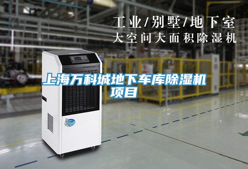 上海万科城地下车库91免费网站在线观看项目