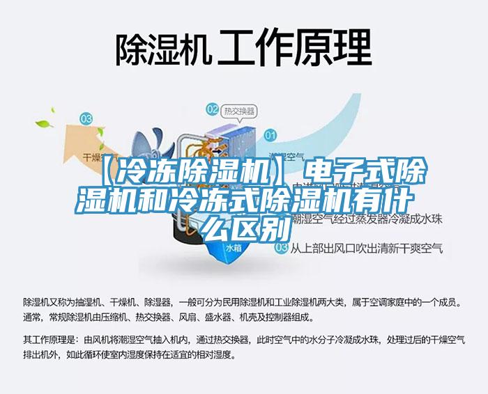 【冷冻91免费网站在线观看】电子式91免费网站在线观看和冷冻式91免费网站在线观看有什么区别