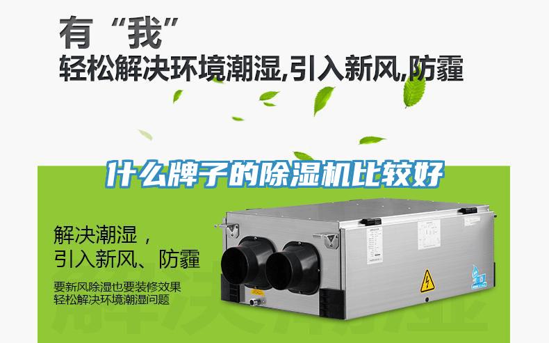 什么牌子的91免费网站在线观看比较好
