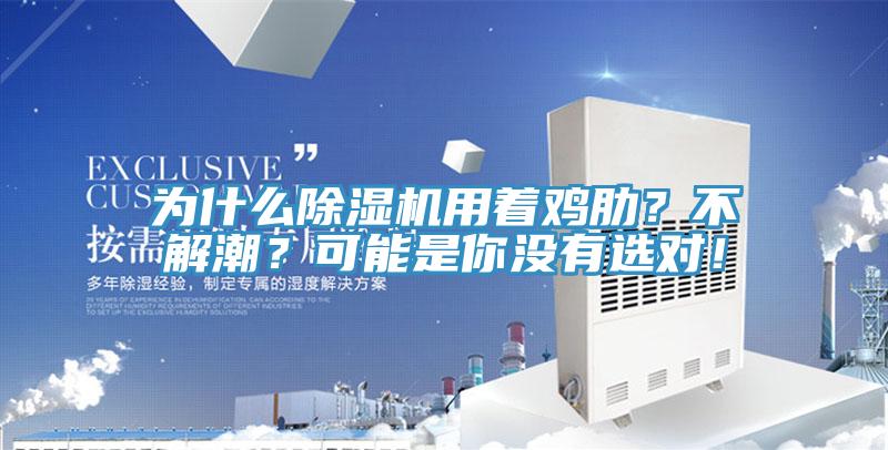 为什么91免费网站在线观看用着鸡肋？不解潮？可能是你没有选对！