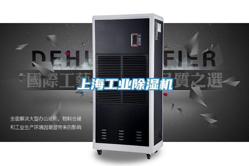 上海工业91免费网站在线观看