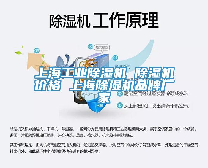 上海工业91免费网站在线观看 91免费网站在线观看价格 上海91免费网站在线观看品牌厂家