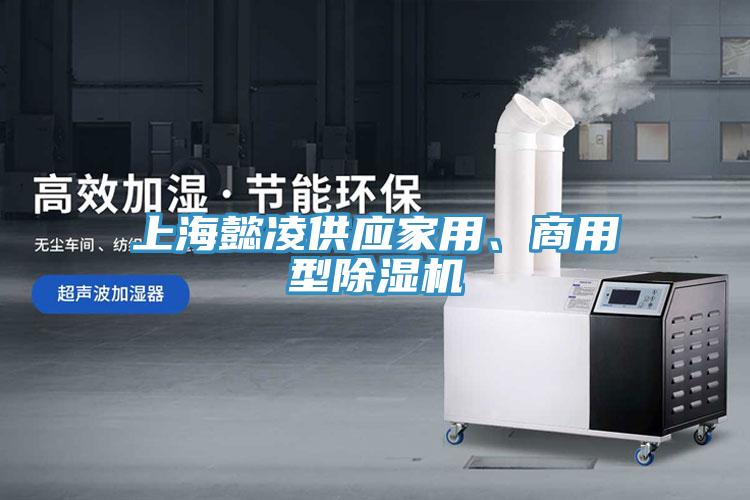 上海懿凌供应家用、商用型91免费网站在线观看