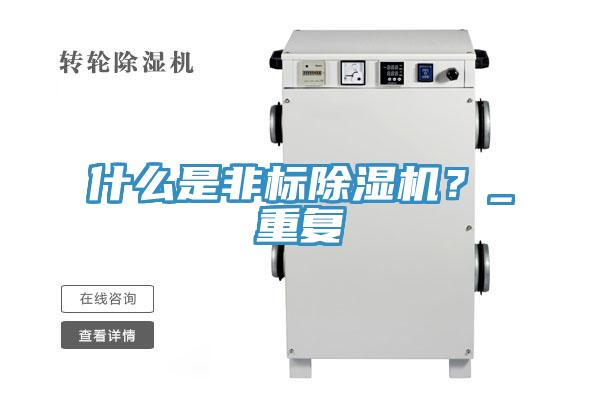 什么是非标91免费网站在线观看？_重复