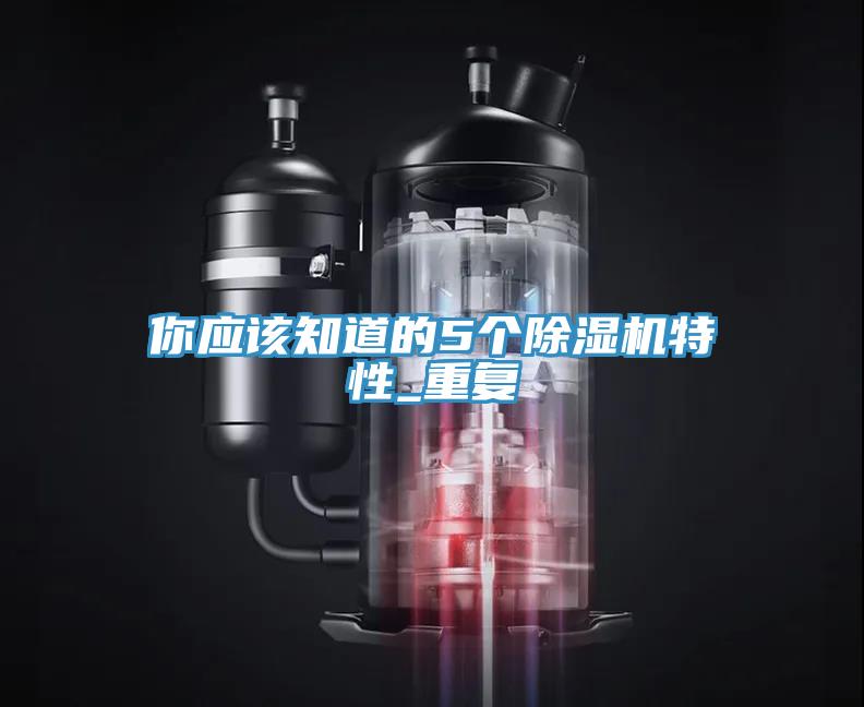 你应该知道的5个91免费网站在线观看特性_重复