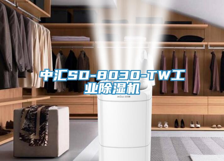 中汇SD-8030-TW工业91免费网站在线观看